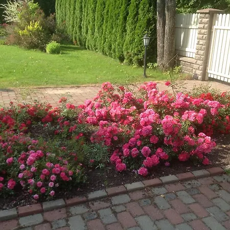 Holiday home Lara House Jurmala